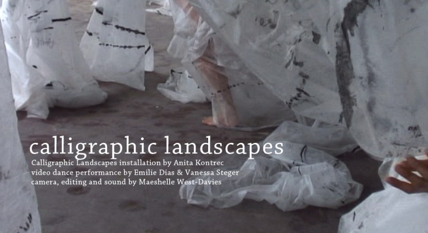 calligraphic landscapes from anita kontrec and maeshelle west-davies